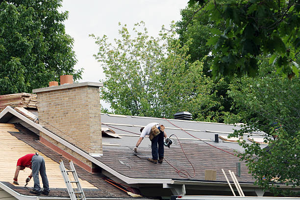 Best Storm Damage Roof Repair  in Toulon, IL